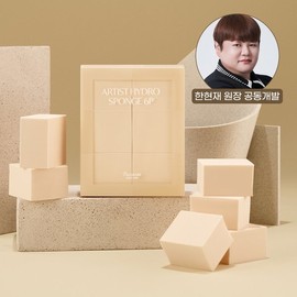 Picasso 피카소 아티스트 하이드로 스펀지 6P Picasso Artist Hydro Sponge 6P
