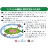 Okamoto Pichit Regular 32-Sheet Roll Dehydrating Sheets for Fish and
