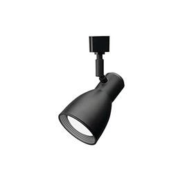 Lithonia Lighting LTHNSTBF BR20 DBL M2 Baffle Head Track Lighting, Black