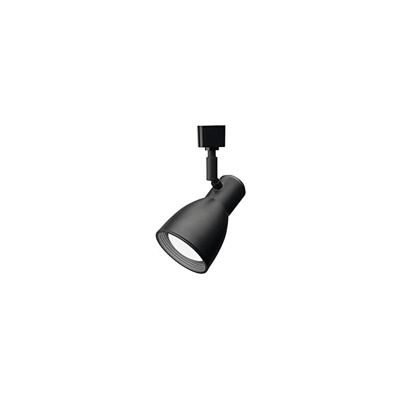 Lithonia Lighting LTHNSTBF BR20 DBL M2 Baffle Head Track Lighting,