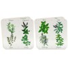 The Leonardo Collection Set of 4 Drinks Coasters LP95065
