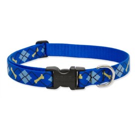 LupinePet Originals 1" Dapper Dog 12-20" Adjustable Collar for Medium and Larger Dogs