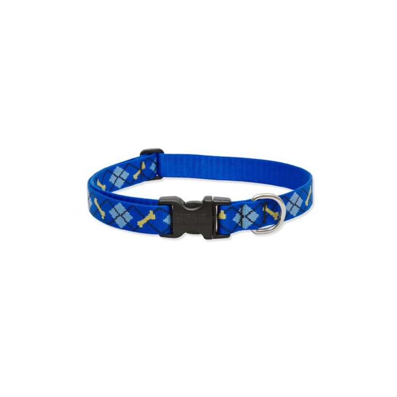 LupinePet Originals 1" Dapper Dog 12-20" Adjustable Collar for Medium