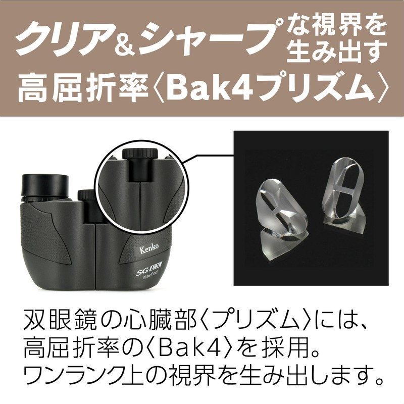 Kenko 014592 SG EX Compact Binoculars, 8 x 20, 8x