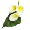 PME 103FF041 JEM Life Size Arum Lily & Leaf Cutters,