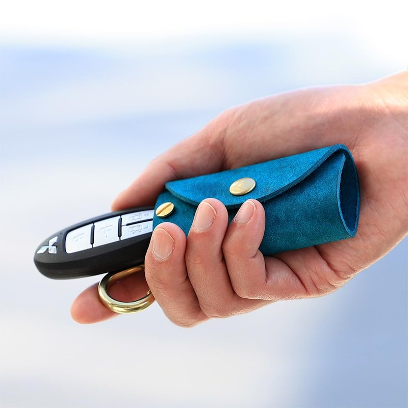 Agility affa Clevis Key Case, Smart Key, Carabiner, Sliding Type,
