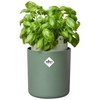 elho Bouncy Basil 16 Flower Pot, Basil Pot, Herb Pot