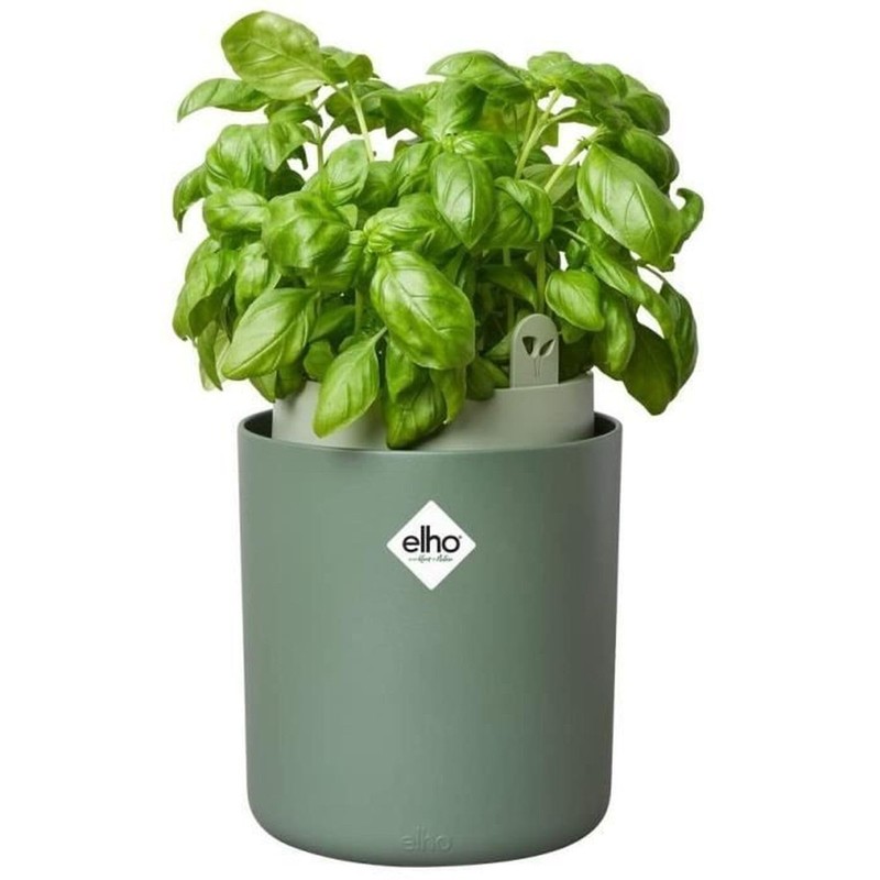 elho Bouncy Basil 16 Flower Pot, Basil Pot, Herb Pot