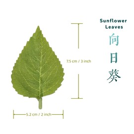 arrccholiy Bulk Sunflower Leaves，Artificial Greenery Leaves 30 Pcs Fake Green Leaves for DIY Wedding Bouquets Centerpieces Party Decorations Wreath Home Decor Supplies