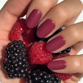 Glamnetic Short Round Press On Nail Collection - Nail Glue & Remover:_Berry Maroon