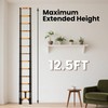 SINMEIRUN 12.5 FT Telescoping Ladder, ANSI Certified, Type IA Heavy