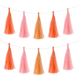 MECCANIXITY 15Pcs Light Pink, Bright Orange, Dark Orange Tassel Garland Banner with Rope Tissue Paper Tassels Party DIY Kits for Anniversary Wedding Birthday Party