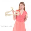 MIZGI Premium Velvet Hangers Pack 30 Pcs Heavyduty - Non
