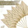 Chenkaiyang 40 Pcs Boho Dried Palm Spears Leaves Bulk, Small