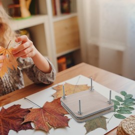 EXCEART Kit De Prensa De Flores 1 Juego De Kit De Prensa De Flores Muestra Grande Juego De Prensado De Flores Prensa De Plantas De Hojas Para Bricolaje Kit De Prensado De Flores