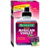 Schultz African Violet Plus Alimento vegetal 8-14-9, 4 onzas líquidas