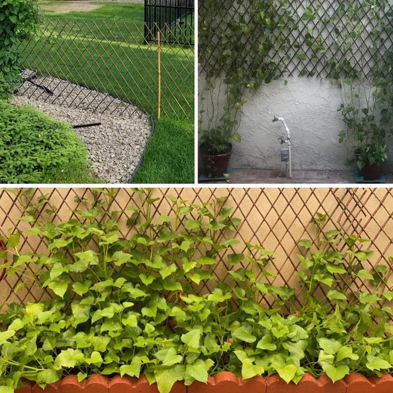 Helprise Expandable Willow Lattice Fence Panel Plant Support Garden Trellis
