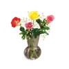 Gadjit VINYL Window Vases 3 Styles -- Vases Suctions to