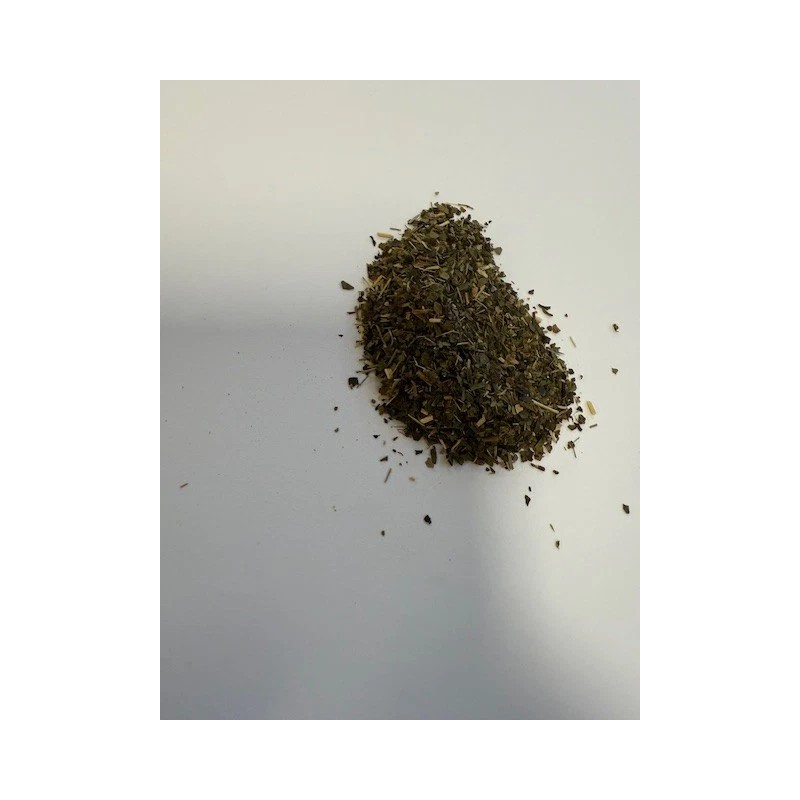 Teavana Iced Green Tea - Loose Leaves, Minty & Citrusy,