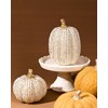 DN DECONATION 2 PCS Thanksgiving Resin Pumpkin Figurine, Fake Pumpkin