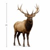 Elk 3FT Life Size Cardboard Cutout – A Fun Animal