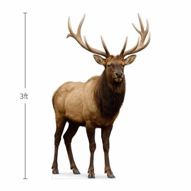 Elk 3FT Life Size Cardboard Cutout – A Fun Animal Standup for Photo Booths, Birthday Parties, and Events