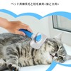 Lyyxjsltd 犬・猫 ブラシ，丸頭ビーズピン 痛くない 犬 猫 毛取り簡単 ワンプッシュ式 ヒーリングスリッカーブラシ 肌ケア