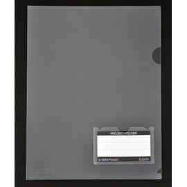 Lion Clear Project Folders with Index Pocket, 10 EA/Pack, 1-Pack (49120-CR)