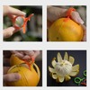 YUEMING 2 pcs Orange Peeler Citrus Peeler Fruit Peeler Creative