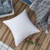 Oubonun 20 x 20 Pillow Inserts (Set of 2) -