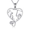 YFN Veterinary Necklace Sterling Silver Vet Techs Pendant Veterinarian Stethoscope