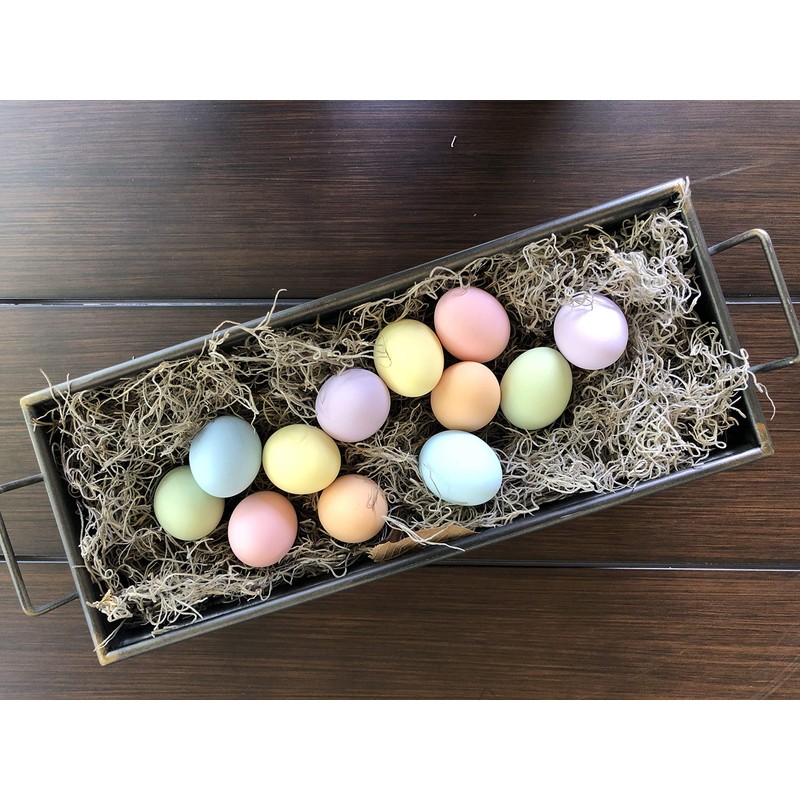 Eggcetera Ceramic Nest Eggs 12-Pack (Pastel)