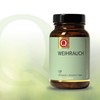 Quintessence Frankincense Capsules Pack of 100 - Original Indian Frankincense