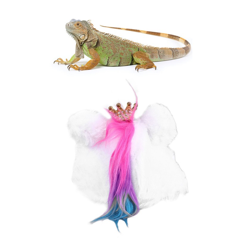 Pet Lizard Hat Soft Cotton Comfortable Attractive Pet Reptile Costume