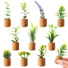 Joyibay Plant Fridge Magnets Mini Succulent Magnets Artificial Plants Refrigerator