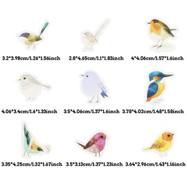 46Pcs Bird Stickers, Colorful Bird Scrapbooking Stickers, Vinyl Watercolor Bird Stickers for Album,Travel Journal, Scrapbooking