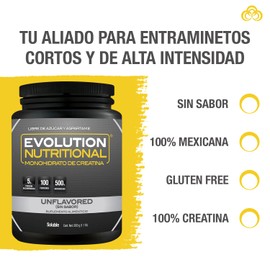 EVOLUTION, Monohidrato de Creatina, Suplemento Alimenticio, Creatina Monohidratada, Sin Gluten, Sugar Free, Pre Workout, Sin Sabor, 100 Porciones, 500g