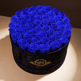 Valentines Day Gifts for Her, Flowers for Delivery Prime - 47-Piece Roses in a Luxury Suede Box - Real Preserved Flowers - Birthday Gifts for Women - Mothers Day Flowers for Mom (Blue)
