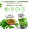 Moringa Oleifera Capsules – 10,000mg Strength, 150 Count, 100% Pure