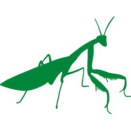 Praying Mantis - 5 Inches - for Cars, Trucks, Windows, Laptops, Tablets - Outdoor-Grade 2.5mil Thick Vinyl - Green