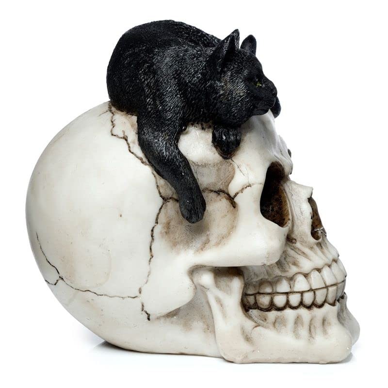 Generisch Skull with Black Cat Skull Gothic Decorative Cat Black