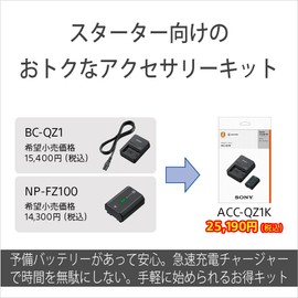 Sony ACC-QZ1K Accessory Kit (BC-QZ1+NP-FZ100)