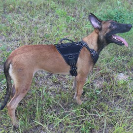 ICEFANG GN8 Quick-Moving Tactical Dog Harness with 2xMetal Buckles for Medium Sized Dogs,Reflective K9 Vest,No-Pull Front Leash Clip,5-Points Adjustable Pet Harness (Black, Medium (Pack of 1))