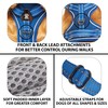 Elite Paws® UK: Premium Metal Buckle Dog Harness, Strong, Safe,