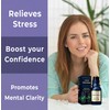 Calm Roll On Essential Oil Stress Relief Sandalwood Vetiver Destress