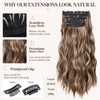 20 Inch Clip in Hair Extensions,Long Wavy Synthetic Hair for