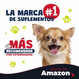 Bites para Perros Y Gatos - Premios para Entrenamiento, 100% Naturales, Libres de Granos y Altos en Proteína - Adicionados con Camote y Cúrcuma - 100 Premios Suaves. (Atún Perros)