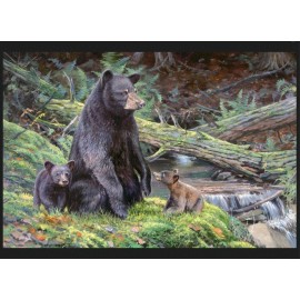 Unbranded Bear | Bear Necessities Bear Panel | Fabric Quilt Panel | Wall Hanging