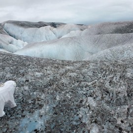 Selsela White Polar Bear Handmade Wood Figurine Arctic North Pole Snow Antarctica Carving Decoration Miniature Small Animal