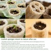 Esponjas naturales de lufa biodegradables para el cuerpo, esponja exfoliante